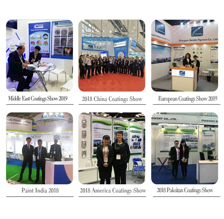 Automotive Speciality Aluminium Paste for Coil and Plastic