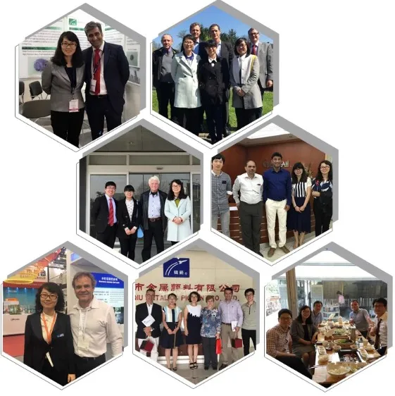 Hot Selling Cameleon Flakes Chameleon Shifting Pigments for Eye Shadow Cosmetics