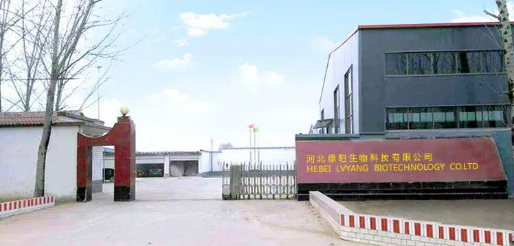 Manufacturer Iron Oxide Brown 686 CAS No 1309-37-1 for Painting Cement, Concrete, Glass, Rubber