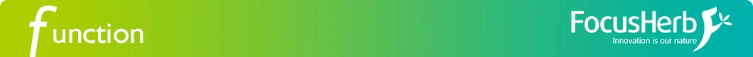 Natural Food Coloring Activated Bamboo Extract E153 Vegetable Carbon Black