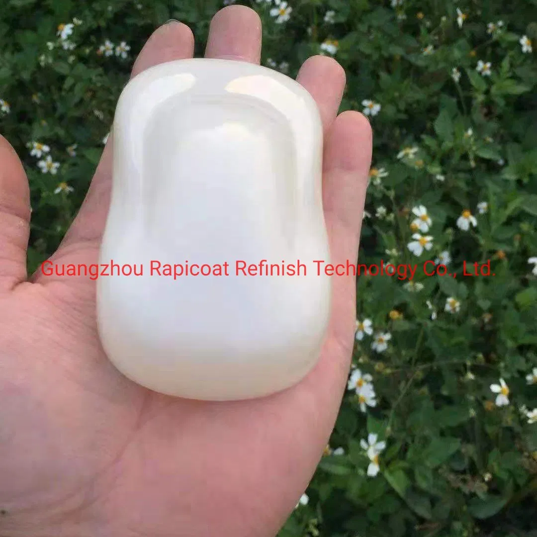 Plastic Vinyl Car Mould Car Paint Coating Film Display Model Car